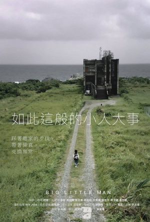 Big Little Man's poster