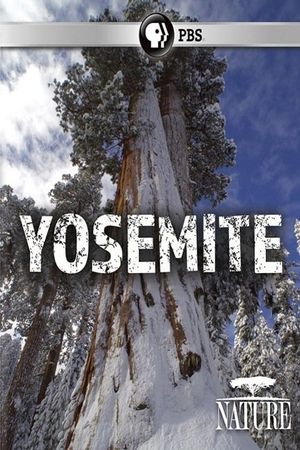 Nature: Yosemite's poster