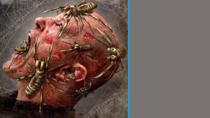 Camel Spiders's poster