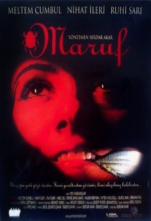 Maruf's poster