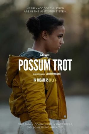 Possum Trot's poster