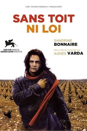 Vagabond's poster