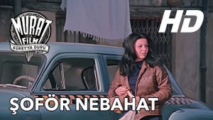 Soför Nebahat's poster