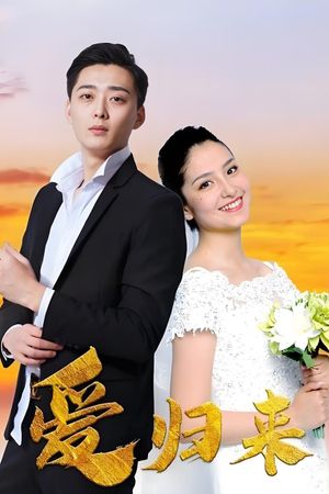 爱归来's poster
