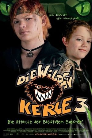 Die Wilden Kerle 3's poster