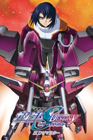 Mobile Suit Gundam SEED Destiny TV Movie II: Their Respective Swords's poster