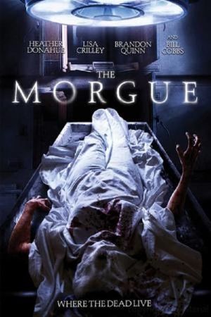 Morgue's poster