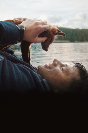 The Fox's poster