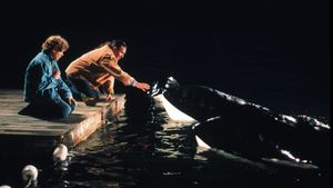 Free Willy 2: The Adventure Home's poster