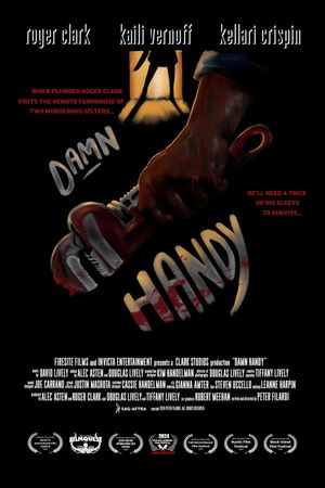 Damn Handy's poster image