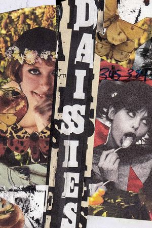 Daisies's poster