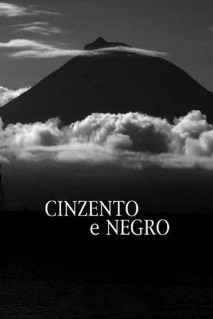 Cinzento e Negro's poster