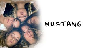 Mustang's poster