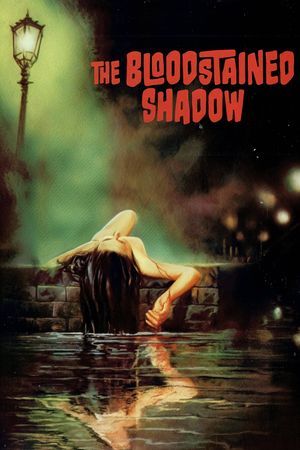 The Bloodstained Shadow's poster