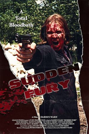 Sudden Fury's poster