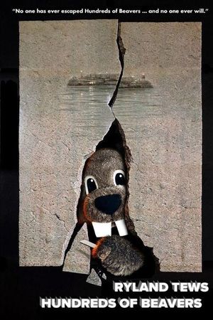 Hundreds of Beavers's poster