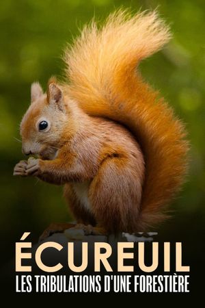 Écureuil : Les Tribulations d'une forestière's poster