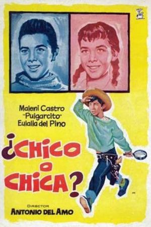 ¿Chico o chica?'s poster