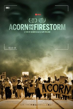 ACORN and the Firestorm's poster