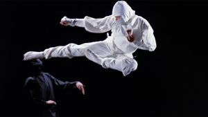 Enter the Ninja's poster