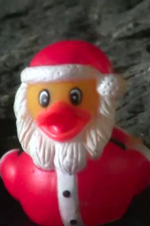 Duck Santa's poster