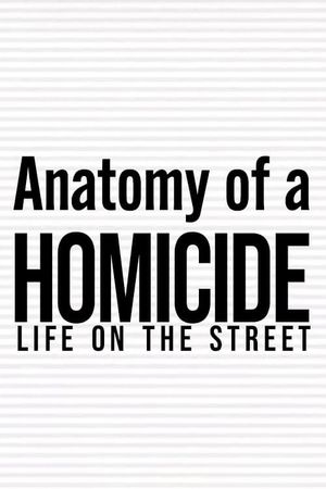 Anatomy of a 'Homicide: Life on the Street''s poster