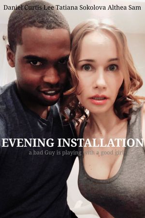 Evening Installation's poster image