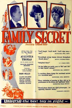 The Family Secret's poster