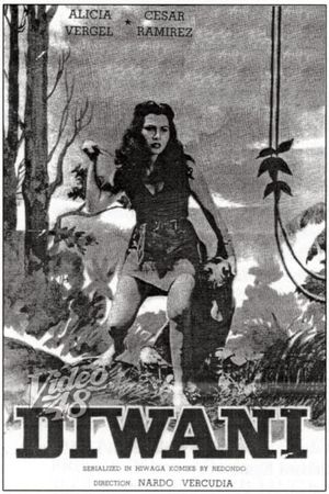 Diwani's poster