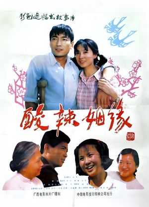 酸辣姻缘's poster