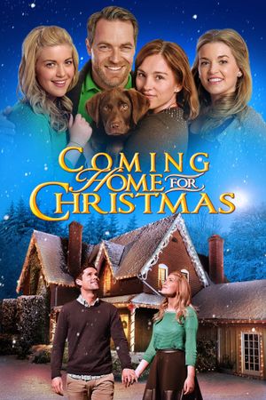 Coming Home for Christmas's poster