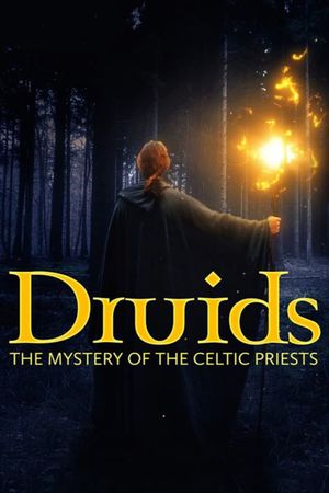 Die Druiden: Mächtige Priester der Kelten's poster