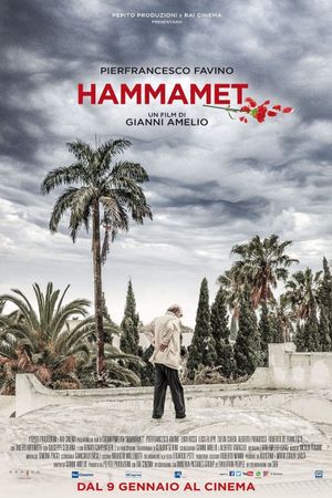 Hammamet's poster