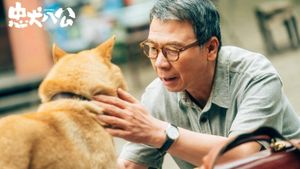 Hachiko's poster