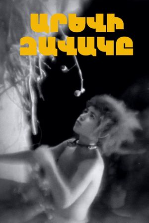 Arevi zavaky's poster