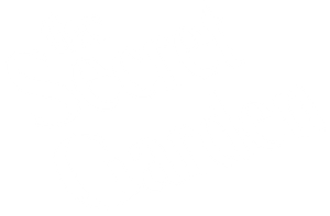 The Secret Garden's poster