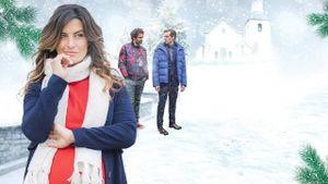 A Baby for Christmas's poster