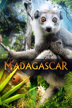 Madagascar 3D's poster image