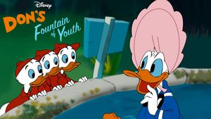 Don's Fountain of Youth's poster