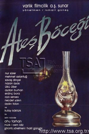 Ates Böcegi's poster