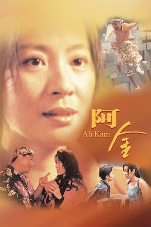 The Stunt Woman's poster