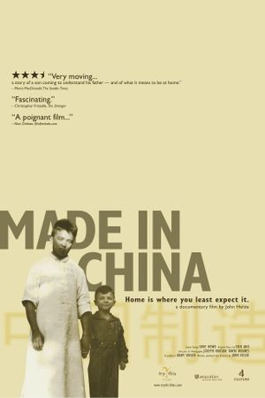 Made in China's poster