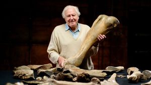 Attenborough and the Mammoth Graveyard's poster