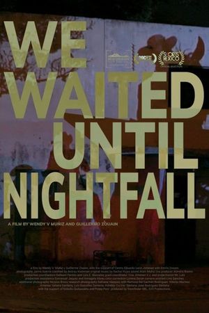 We Waited Until Nightfall's poster