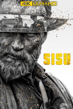 Sisu's poster