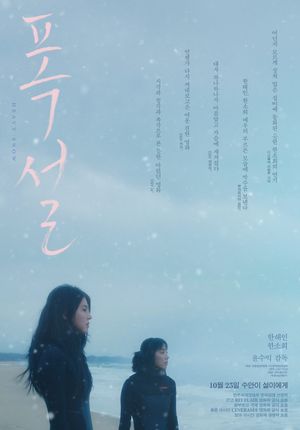 Heavy Snow's poster