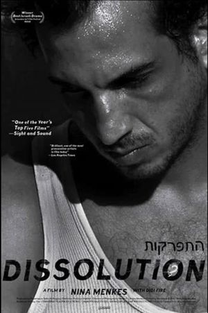Dissolution's poster