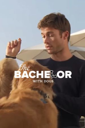 The Bachelor with Dogs and Scott Eastwood's poster