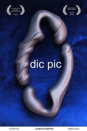 Dic Pic's poster
