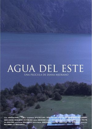 Agua del este's poster